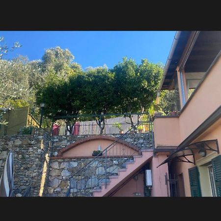לינה וארוחת בוקר פייבה ליגורה Il Gabbiano Di Pieve מראה חיצוני תמונה